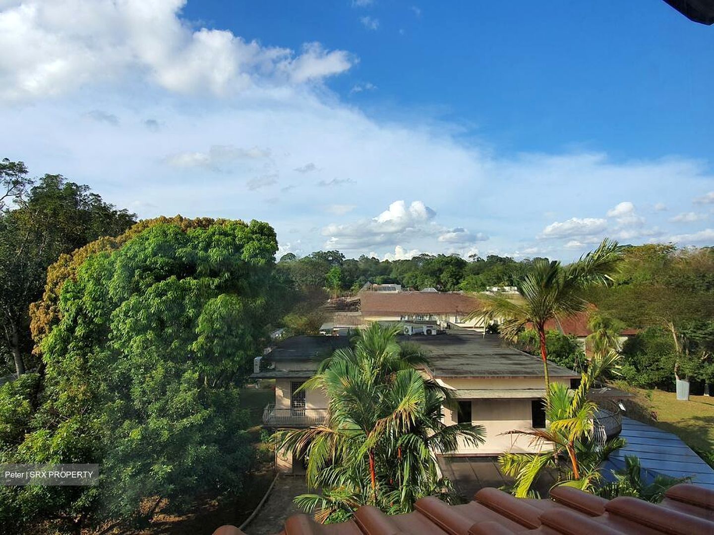 Bin Tong Park (D10), Detached #468538071